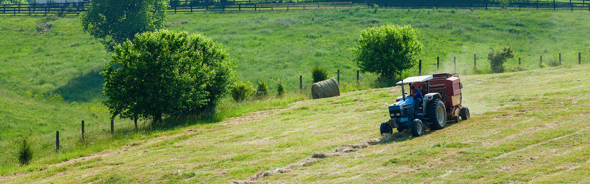Farming